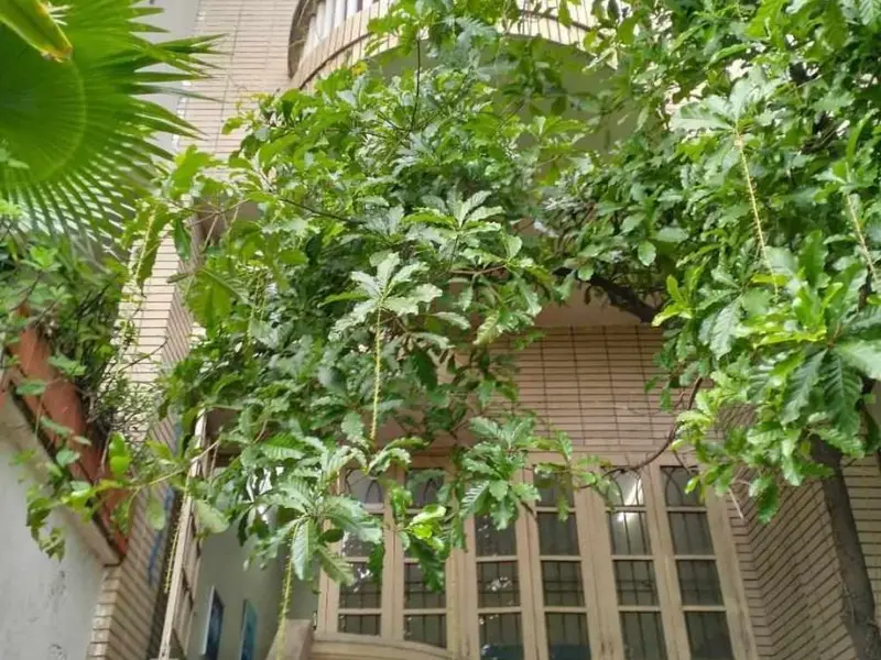 Bán nhà mặt phố tại quận Thịnh Liệt, kinh doanh sầm uất, mặt tiền rộng 4m... Bán nhà mặt phố tại Phương Liệt, Hà Nội 01