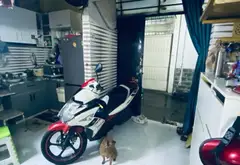Bán nhà 2 tầng 2 phòng ngủ tại phường An Hội, TP Hồ Chí Minh... Bán nhà riêng tại An Hội Đông, Hồ Chí Minh 01