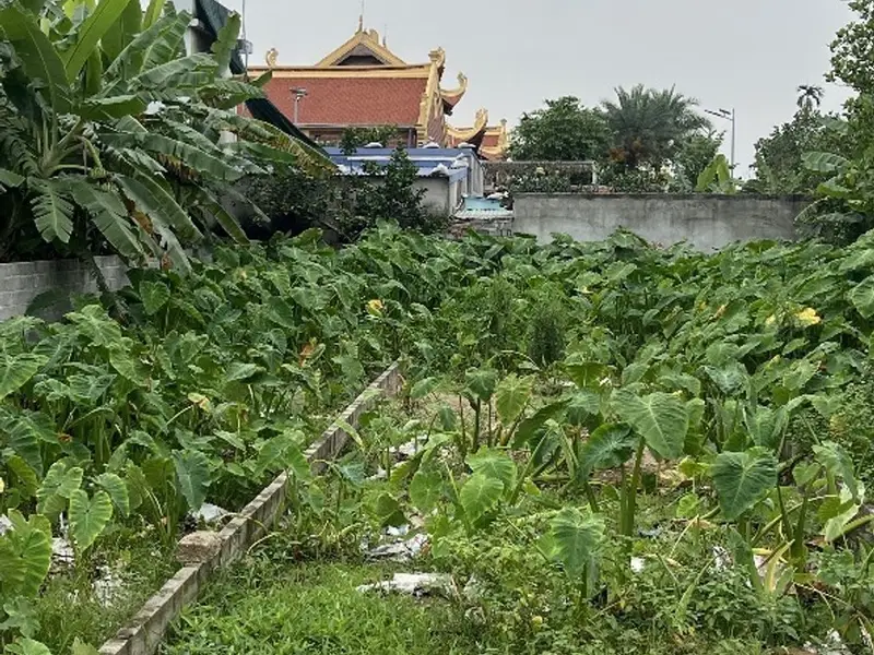 Hai Kinh Đất Vàng An Trường - Đón Đầu Cơ Hội Kinh Tế... Bán đất tại An Trường, Hải Phòng 01