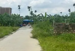 Đất phân lô ô tô tránh tại Phù Lưu, Ninh Sơn, Thuỷ Nguyên... Bán đất tại Thủy Nguyên, Hải Phòng 13
