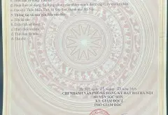 Đất phân lô hiếm, sổ sẵn, giá tốt chờ chủ mới... Bán đất tại Sóc Sơn, Hà Nội 18