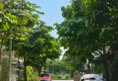 Biệt thự song lập An Vượng đẳng cấp – không gian sống thượng lưu trong lòng đô thị xanh 180m2... Bán biệt thự, liền kề tại Dương Nội, Hà Nội 01