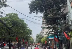 Nhà mặt phố sầm uất Ngô Đình Mẫn - 6 tầng xịn xò... Bán nhà mặt phố tại Hà Đông, Hà Nội 11