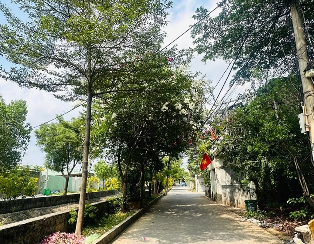 Cơ Hội Vàng: Đất Hẻm Xe Hơi - Giá Chỉ 4.45 Tỷ, Hẹp Hơn Còn Thương Lượng!... Bán đất tại An Phú Đông, Hồ Chí Minh 01