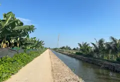 Quỹ đất rộng 1.8ha tại TDP Đẩu Sơn, Phù Liễn - Cơ hội đầu tư sinh lời lâu dài... Bán đất tại Kiến An, Hải Phòng 07