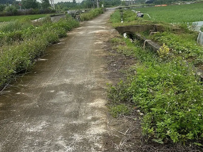 Đất nền Thủy Nguyên - Cơ hội sinh lời từ lô đất tiềm năng gần khu đô thị Vlasta... Bán đất tại Hòa Bình, Hải Phòng 01