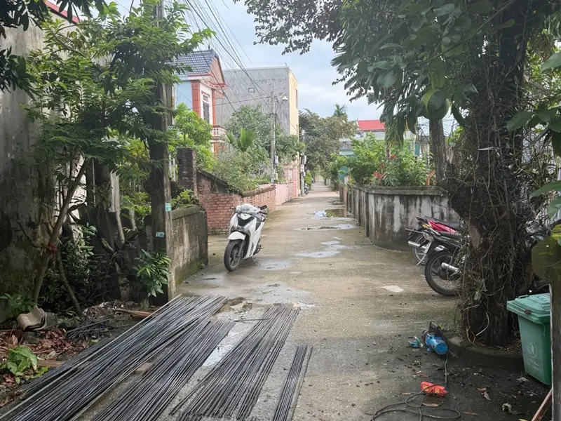 Bán đất mặt tiền tổ dân phố Đào Yêu, phường An Hải, TP. Hải Phòng, diện tích 50m² vị trí trung tâm... Bán đất tại An Hải, Hải Phòng 01