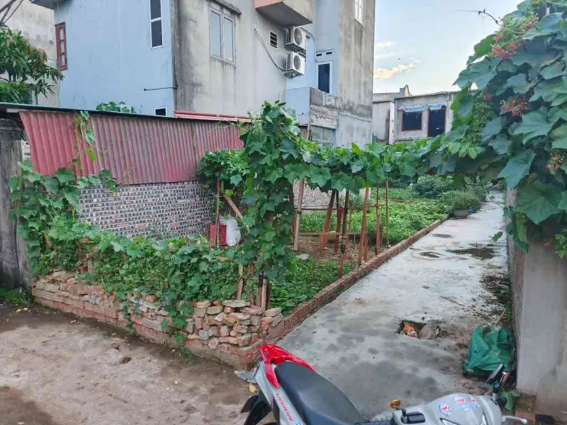 Bán đất nền diện tích 46,2m² tại Phố Giếng, Từ Sơn, mặt tiền rộng 5,7m... Bán đất tại Phù Khê, Bắc Ninh 01