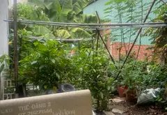Bán đất thổ cư 160m² tại xã Nhà Bè, Hồ Chí Minh, mặt tiền 5m, giá 5.7 tỷ... Bán đất tại Nhà Bè, Hồ Chí Minh 02