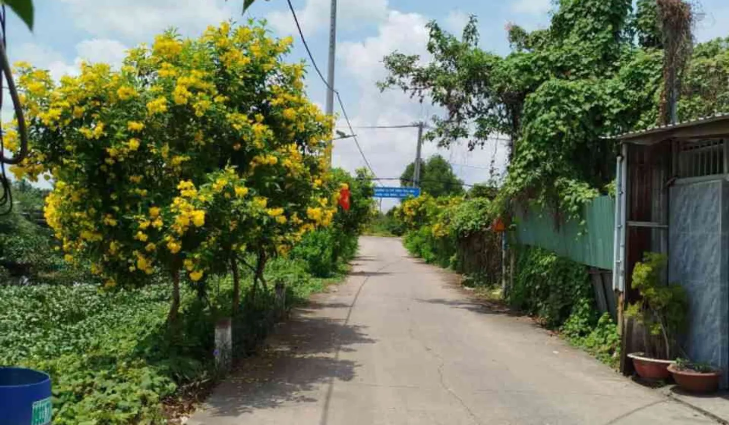 Bán nhà mặt phố tại Hưng Nhơn, diện tích 250m², 4 tầng, pháp lý rõ ràng... Bán nhà mặt phố tại Tân Nhựt, Hồ Chí Minh 01