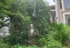 Bán đất 129m² Thôn Chí Trung, Như Quỳnh, Hưng Yên - Đối diện QL5A, Giá 5.99 tỷ... Bán đất tại Như Quỳnh, Hưng Yên 06