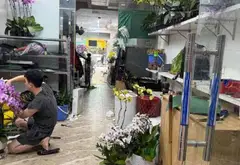 Nhà phố 7 tầng thang máy trên phố thương mại đắt giá Quận Cầu Giấy... Bán nhà mặt phố tại Cầu Giấy, Hà Nội 03