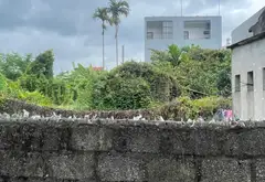 Đất đẹp Hồng Thái An Dương ô tô đỗ cửa, vị trí đỉnh... Bán đất tại An Hải, Hải Phòng 03