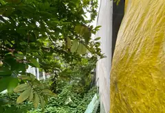 Bán Nhà mặt phố 65m2 đường Quốc Lộ 50 Bình Hưng giá 7.5 tỷ 0948769331... Bán nhà mặt phố tại Bình Hưng, Hồ Chí Minh 03