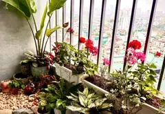 Bán căn hộ 2PN lô góc tại Định Công, Hướng Đông Nam... Bán căn hộ chung cư tại Phương Liệt, Hà Nội 06