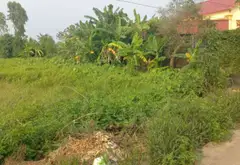 Cơ hội sở hữu đất ô tô qua nhà tại An Thái, An Lão Hải Phòng - Vị trí đắc địa đáng giá đầu tư ngay... Bán đất tại An Lão, Hải Phòng 06