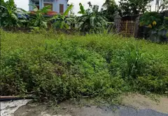 Lô đất mặt ngõ rộng, tiện ích đầy đủ tại Quảng Thanh 4 - Lê Ích Mộc... Bán đất tại Lê Ích Mộc, Hải Phòng 02