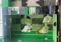 Bán nhà, mặt tiền, Doãn Ẩn, 108m x 3 tầng, giá 13.2 tỷ, thương lượng... Bán nhà mặt phố tại Ngũ Hành Sơn, Đà Nẵng 13