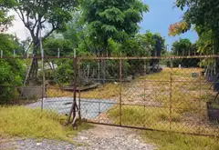 GIẢM CỰC SÂU 30 TỶ CÒN 30 TỶ: BÁN 5.839M² ĐẤT (250M² THỔ CƯ) PHAN VĂN HỚN, HÓC MÔN... Bán đất tại Bà Điểm, Hồ Chí Minh 07