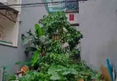Lô đất mặt tiền 5m, ô tô vào tận nơi tại khu vực trung tâm Lê Thánh Tông... Bán đất tại Ngô Quyền, Hải Phòng 01