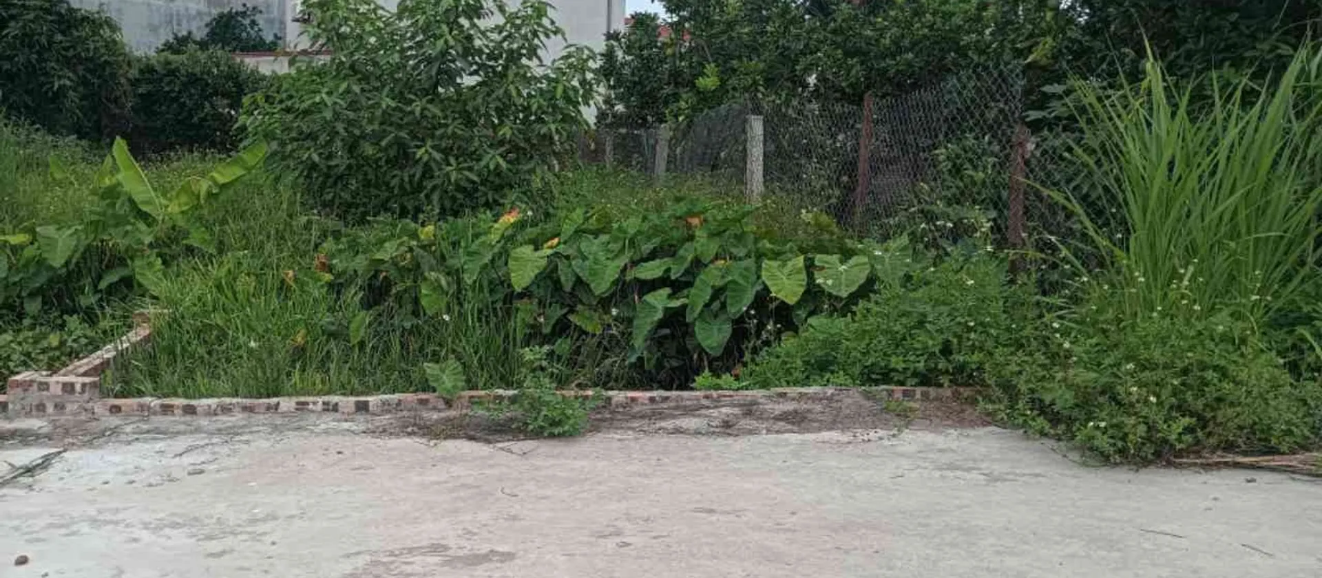 Bán đất Quang Tiến, Sóc Sơn - Gần Sân Bay, Khu Công Nghiệp Nội Bài - Chỉ 1,15 tỷ đồng... Bán đất tại Nội Bài, Hà Nội 01