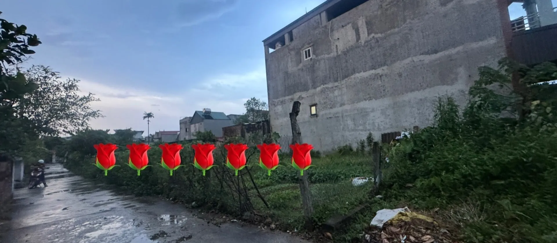 Đất nền đẹp, giá mềm, cơ hội đầu tư ngay!... Bán đất tại Nội Bài, Hà Nội 01
