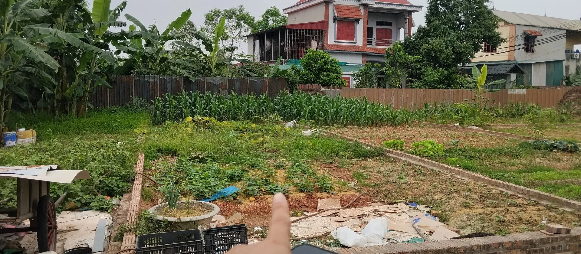Đất Kinh Doanh Đông Lai Quang Tiến Giá Tốt... Bán đất tại Sóc Sơn, Hà Nội 01