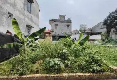 Bán đất 40m² mặt tiền 4.2m tại khu vực phát triển gần trung tâm, giá ưu đãi... Bán đất tại Song Liễu, Bắc Ninh 01