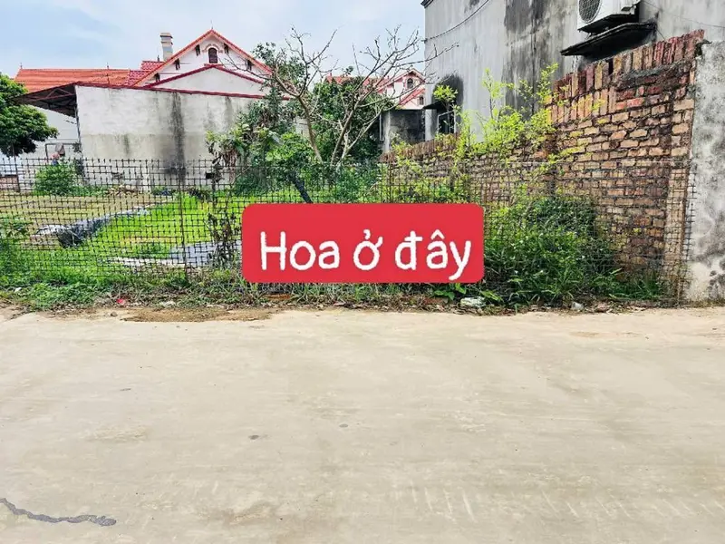 🔥CHỦ NGỘP GIÁ NÀO CŨNG BÁN 100M2 FULL TC YÊN LƯƠNG - TRUNG GIÃ - HÀ NỘI🔥... Bán đất tại Trung Giã, Hà Nội 01