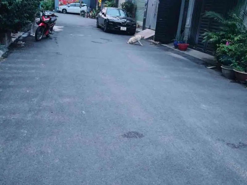 Nhà riêng 3 tầng 5 phòng ngủ phường Bà Điểm giá 6 tỷ... Bán nhà riêng tại Bà Điểm, Hồ Chí Minh 01