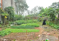 Bán nhà 1 tầng mặt tiền gần 10m tại tổ 18 Đồng Mai, Hà Đông... Bán nhà riêng tại Chương Mỹ, Hà Nội 02