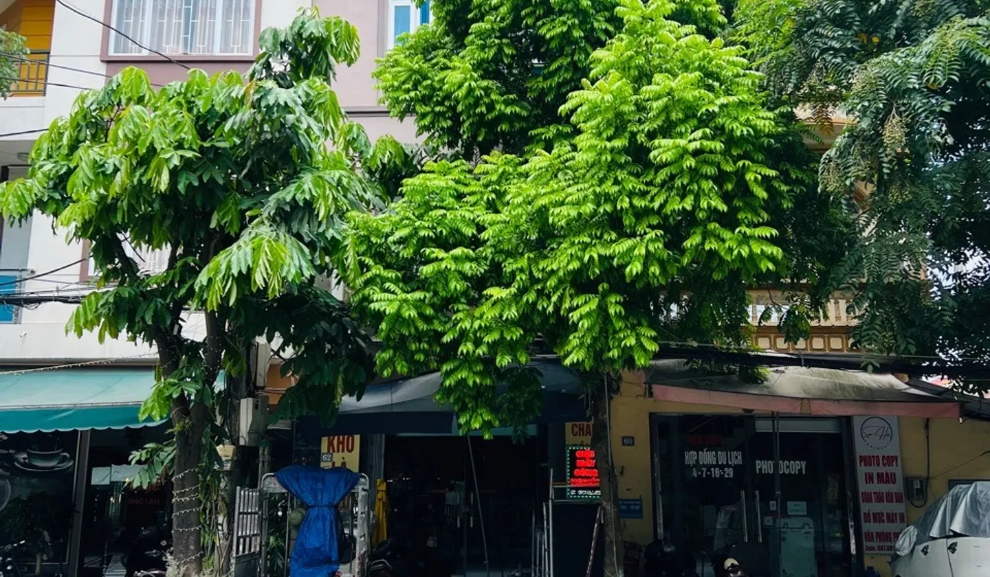 Bán nhà mặt phố đấu mã tp bắc ninh... Bán nhà mặt phố tại Vũ Ninh, Bắc Ninh 01