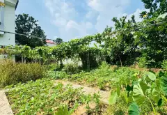 Bán nhà vườn 3 tầng diện tích 715m2 tại xã Sóc Sơn, Hà Nội, mặt tiền rộng 25m... Bán nhà riêng tại Sóc Sơn, Hà Nội 03