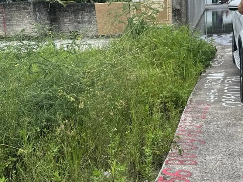 Bán đất mặt tiền rộng tại khu vực phát triển sôi động xã Thuận An... Bán đất tại An Dương, Hải Phòng 01