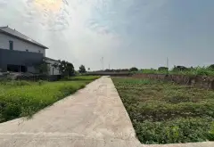 Bán đất xã Triệu Việt Vương, Hưng Yên, mặt tiền rộng, sổ đỏ chính chủ... Bán đất tại Triệu Việt Vương, Hưng Yên 03