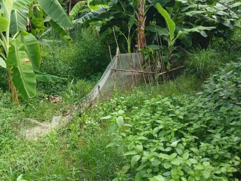Mảnh đất 100m2 hướng Bắc tại Minh Tân, Kiến Thụy, tiếp giáp đường ô tô rộng rãi... Bán đất tại Kiến Thụy, Hải Phòng 01