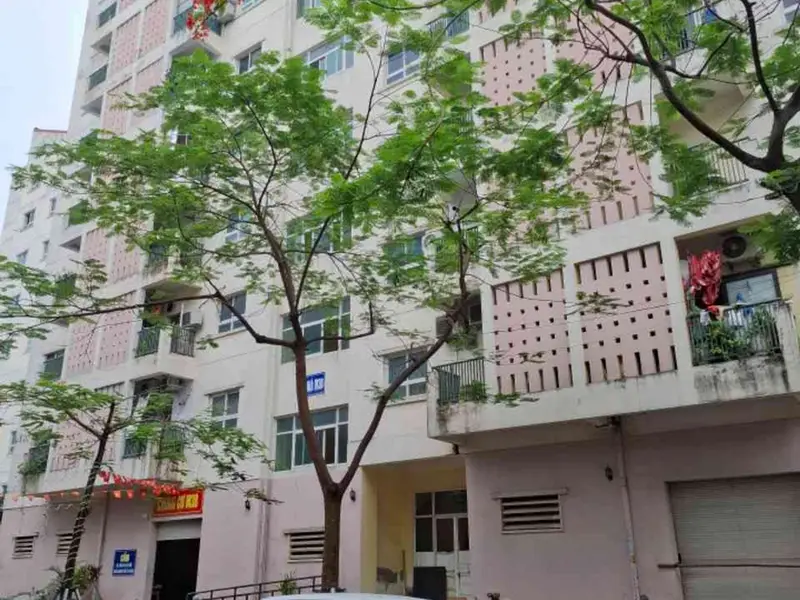 Đất tái định cư Cái Hòm - Vị trí đắc địa, hạ tầng hoàn chỉnh... Bán đất tại Gia Viên, Hải Phòng 01
