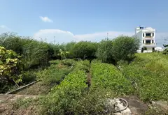Đất phân lô siêu hiếm ở Quang Hưng - Kinh doanh đỉnh... Bán đất tại Quang Hưng, Hưng Yên 05