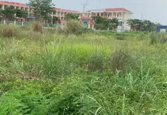 Bán đất thổ cư Thôn 5 Thủy Sơn diện tích 60m2 hướng Đông Nam, giá 1,3 tỷ đồng... Bán đất tại Thủy Nguyên, Hải Phòng 05