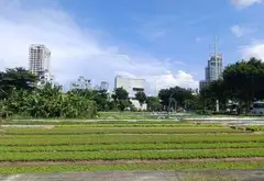 Bán nhà 3 tầng 4PN 87m2 mặt tiền Mỹ An 6 gần cầu Trần Thị Lý... Bán nhà mặt phố tại Ngũ Hành Sơn, Đà Nẵng 06