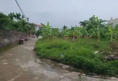 Đất đẹp tại phường Lưu Kiếm, TP Thủy Nguyên, diện tích phù hợp xây dựng... Bán đất tại Lưu Kiếm, Hải Phòng 06
