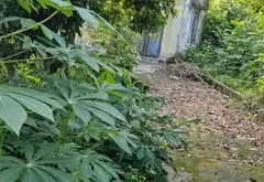 Bán đất vườn rộng tại xã Liên Khê, Thủy Nguyên, Hải Phòng, tiện ích đa năng... Bán đất tại Lưu Kiếm, Hải Phòng 02