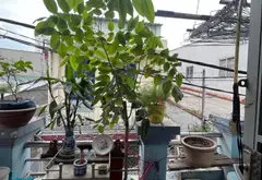 Nhà 2 tầng có ban công mát - Gần AEON Tân Phú, giá 2.8 tỷ... Bán nhà riêng tại Tân Sơn Nhì, Hồ Chí Minh 06