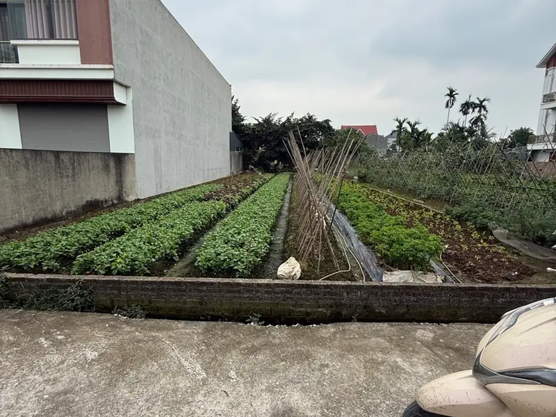 Cơ hội hiếm có sở hữu mảnh đất vuông vắn ôtô vào tận nơi tại Mai Kỳ Sơn... Bán đất tại An Dương, Hải Phòng 01