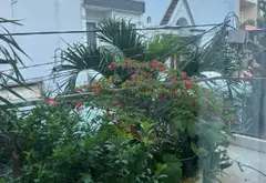 Nhà 4 tầng view vườn, 2 mặt hẻm rộng, quận 12 giá sốc... Bán nhà riêng tại Thới An, Hồ Chí Minh 19