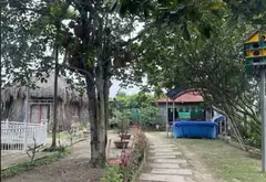 Bán nhà vườn nghỉ dưỡng diện tích lớn tại xã Bình Lợi, Bình Chánh... Bán nhà mặt phố tại Bình Lợi, Hồ Chí Minh 16