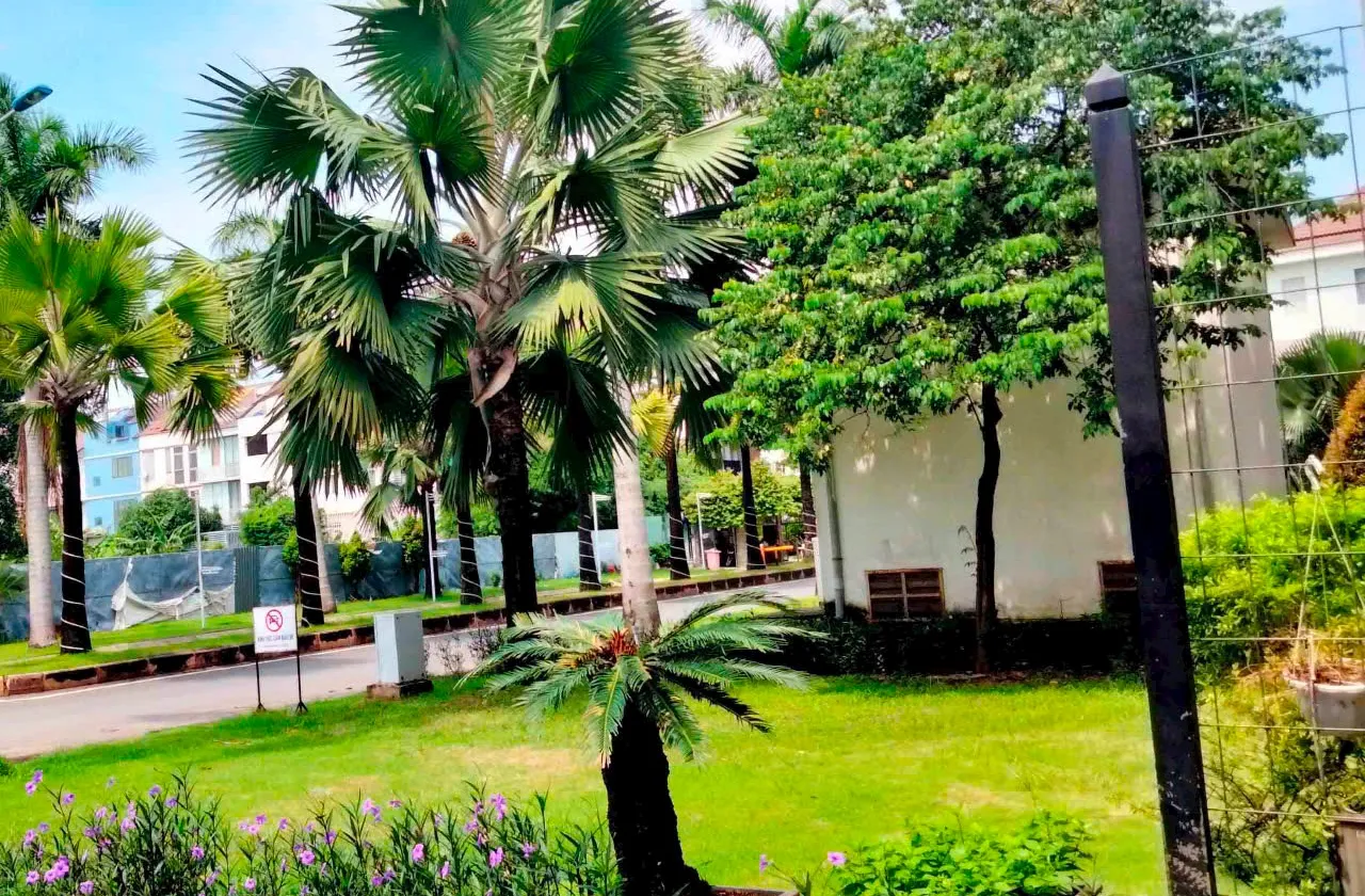 🔥 NHÀ ĐẸP P. HIỆP BÌNH – HẺM XE HƠI gần 5M – 3 TẦNG – 72M² – GIÁ 7 TỶ HƠN 🔥 GẦN VẠN PHÚC... Bán nhà riêng tại Hiệp Bình, Hồ Chí Minh 01