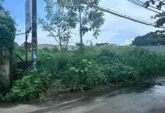 Mua Bán nhà phường Bình Chiểu, Thủ Đức, diện tích lớn 963m2, giá 18,5 tỷ TL... Bán nhà riêng tại Tam Bình, Hồ Chí Minh 05