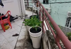 Bán nhà riêng tại phường Bình Trị Đông, nhà góc 2 mặt hẻm xe hơi, 2 tầng, 56m2, giá 7,2 tỷ... Bán nhà riêng tại Bình Trị Đông, Hồ Chí Minh 08