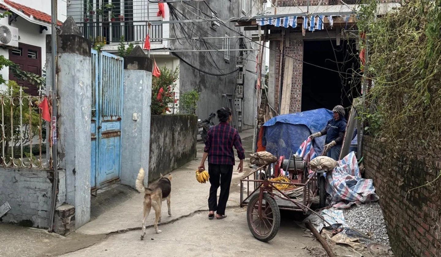 Bán đất 54m² ngõ Bình Kiều, Đông Hải, Hải Phòng với vị trí đắc địa... Bán đất tại Đông Hải, Hải Phòng 01
